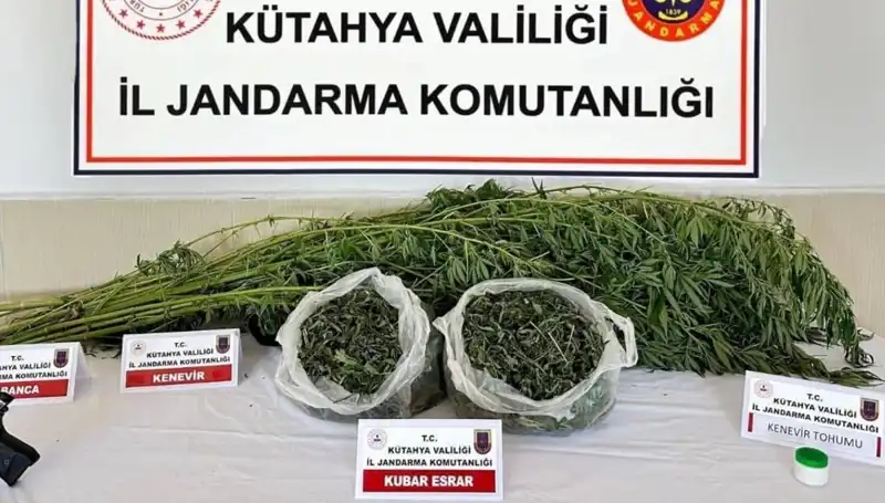 Kütahya'da Uyuşturucu Operasyonu: Tek Kişi Yakalandı, Olayın Detayları Ortaya Çıktı