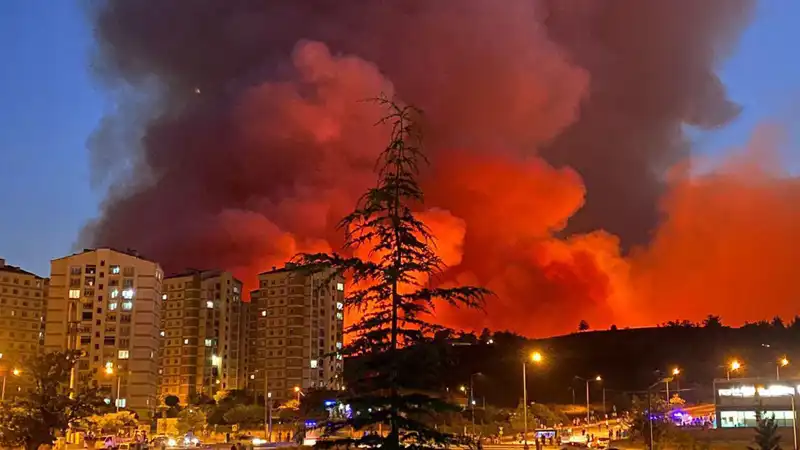 Bursa'da Yangınlar Neden Oluyor? Şehrin Havalarını Karartan Olaylar