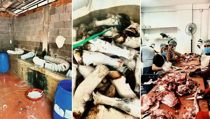 Adana'da Yüzlerce Kilo Kaçak Paça Ele Geçirildi! Şoke Edici Görüntüler