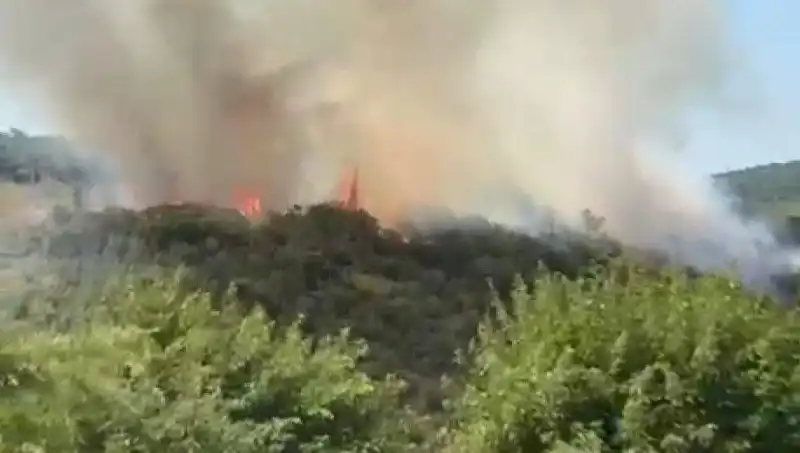 İstanbul’da Çıkan Orman Yangını Nedeniyle Vatandaşlar Tahliye Edildi