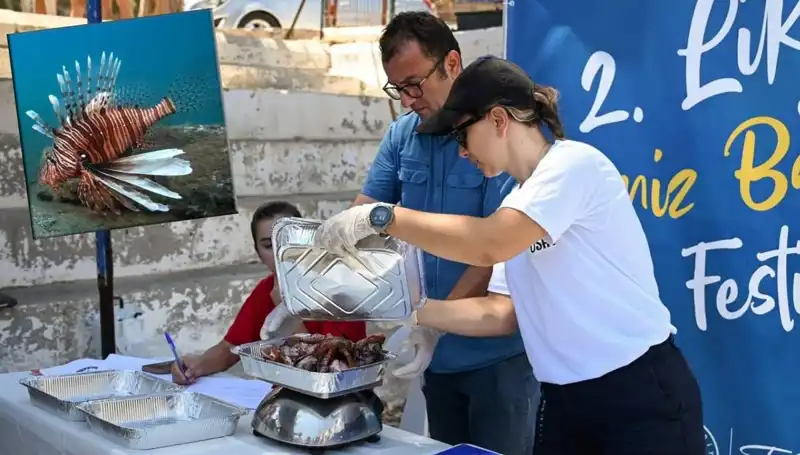 Antalya'da İstilacı Aslan Balığı Avlama Yarışması: Denizlerin Koruyucuları Mücadeleye Girdi