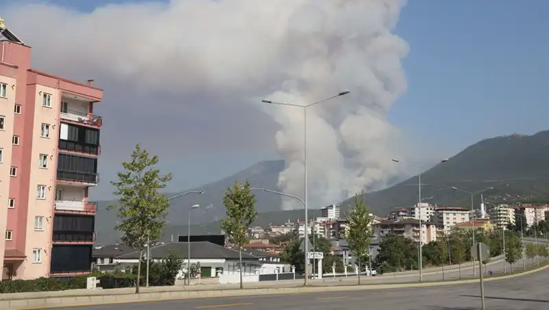 Denizli'de Korkutan Orman Yangını: Bir Gözaltı ve Sıcak Gelişmeler