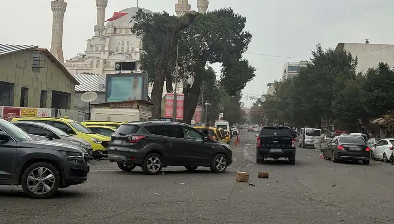 Iğdır'ı Vuran Fırtına: Doğal Hayatı ve Şehir Yaşamını Olumsuz Etkiledi