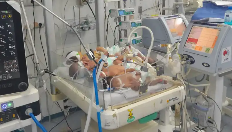 Gazze’deki Doktorlar Çağrı Yapıyor: "Birden Fazla Bebek Aynı Kuvözde Yetişiyor"